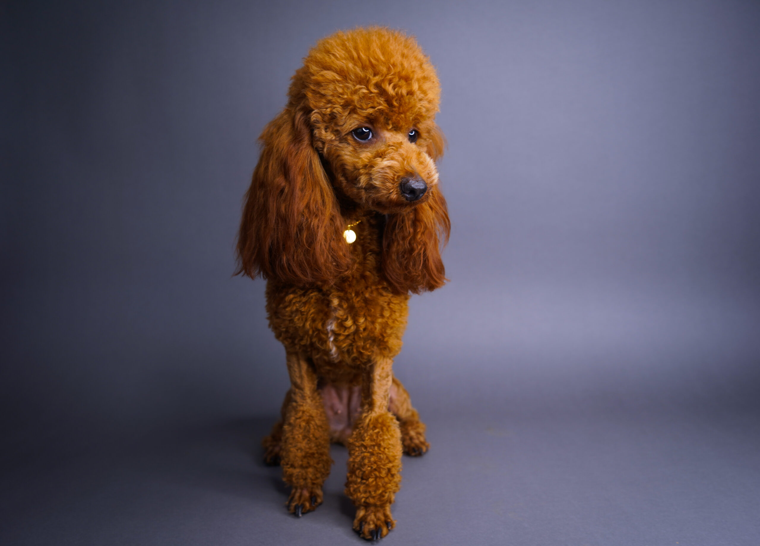 FCDC7254-2500-438A-8BEF-812031F6EB70