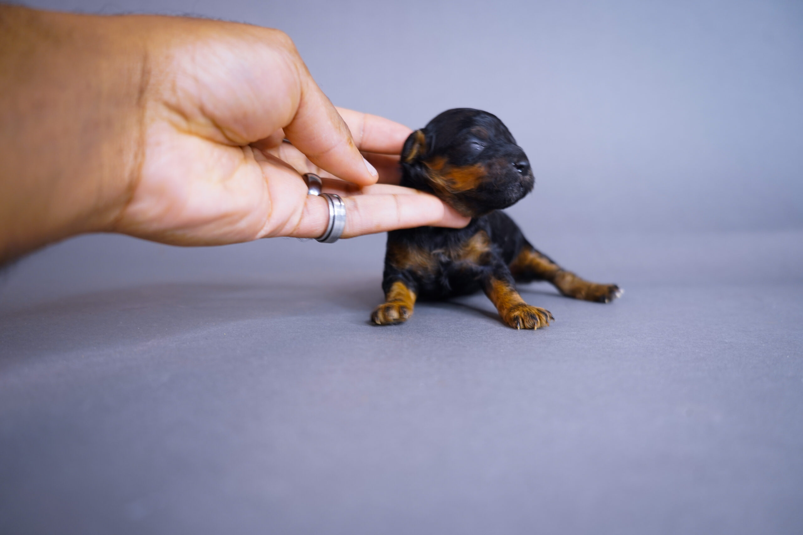 FFF27E7C-7F21-4FBD-A7F6-B19592EFCF67