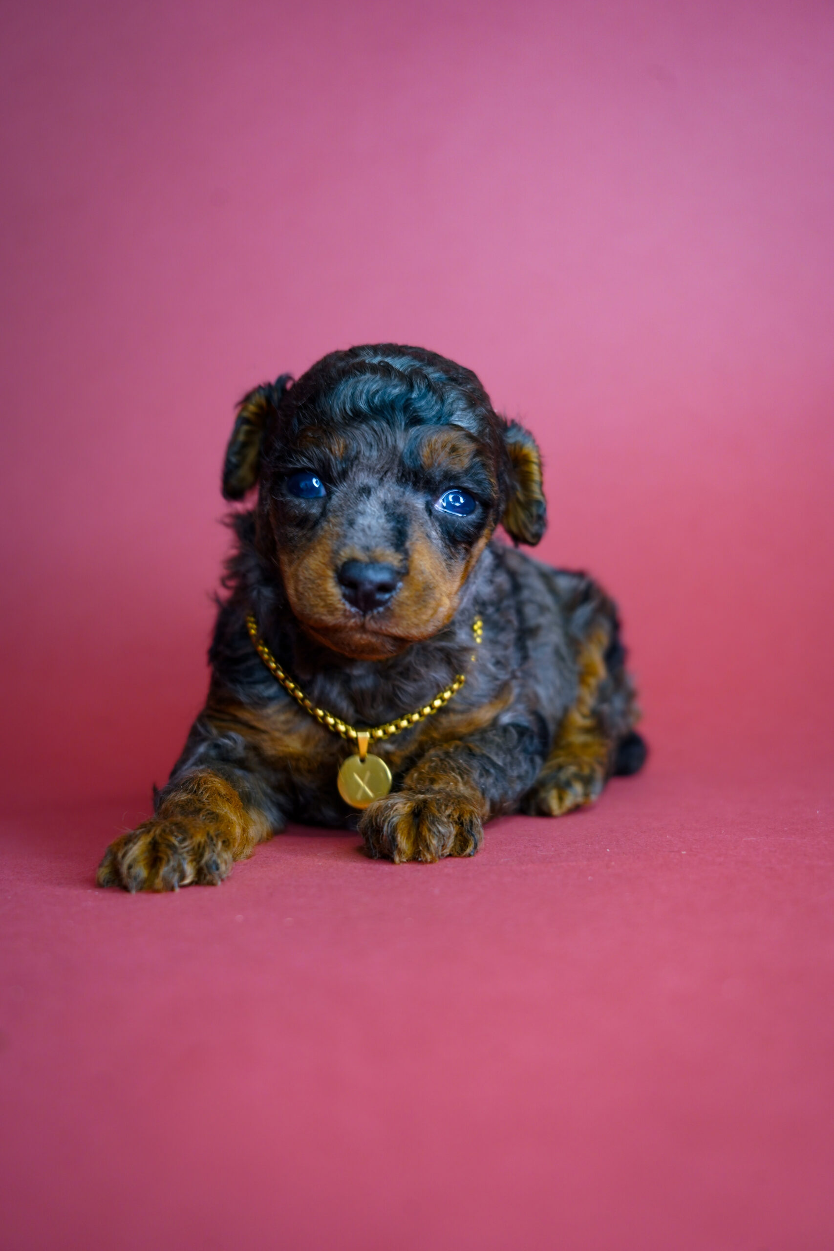 01201CDB-79D2-439A-9CD5-54A00645CE37