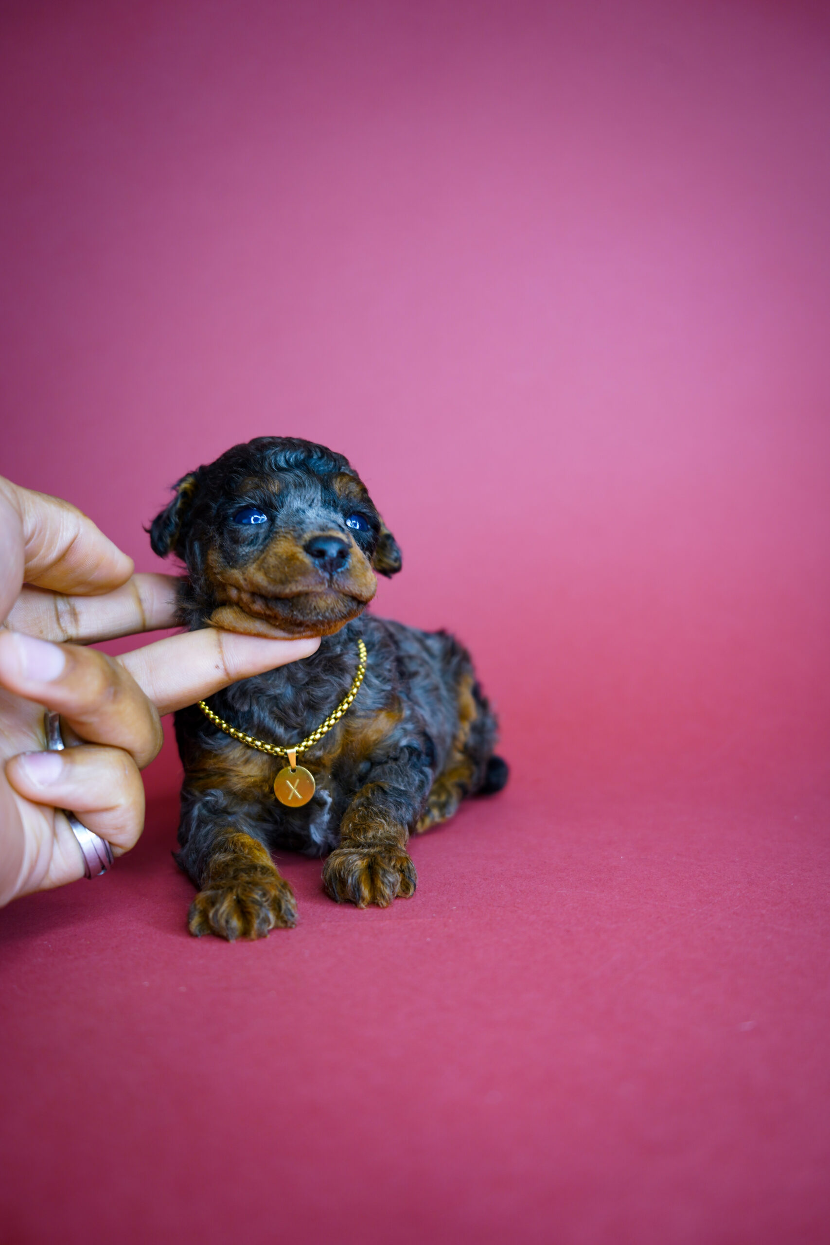 78BAD81B-DAB4-4430-9715-1786E5CED332