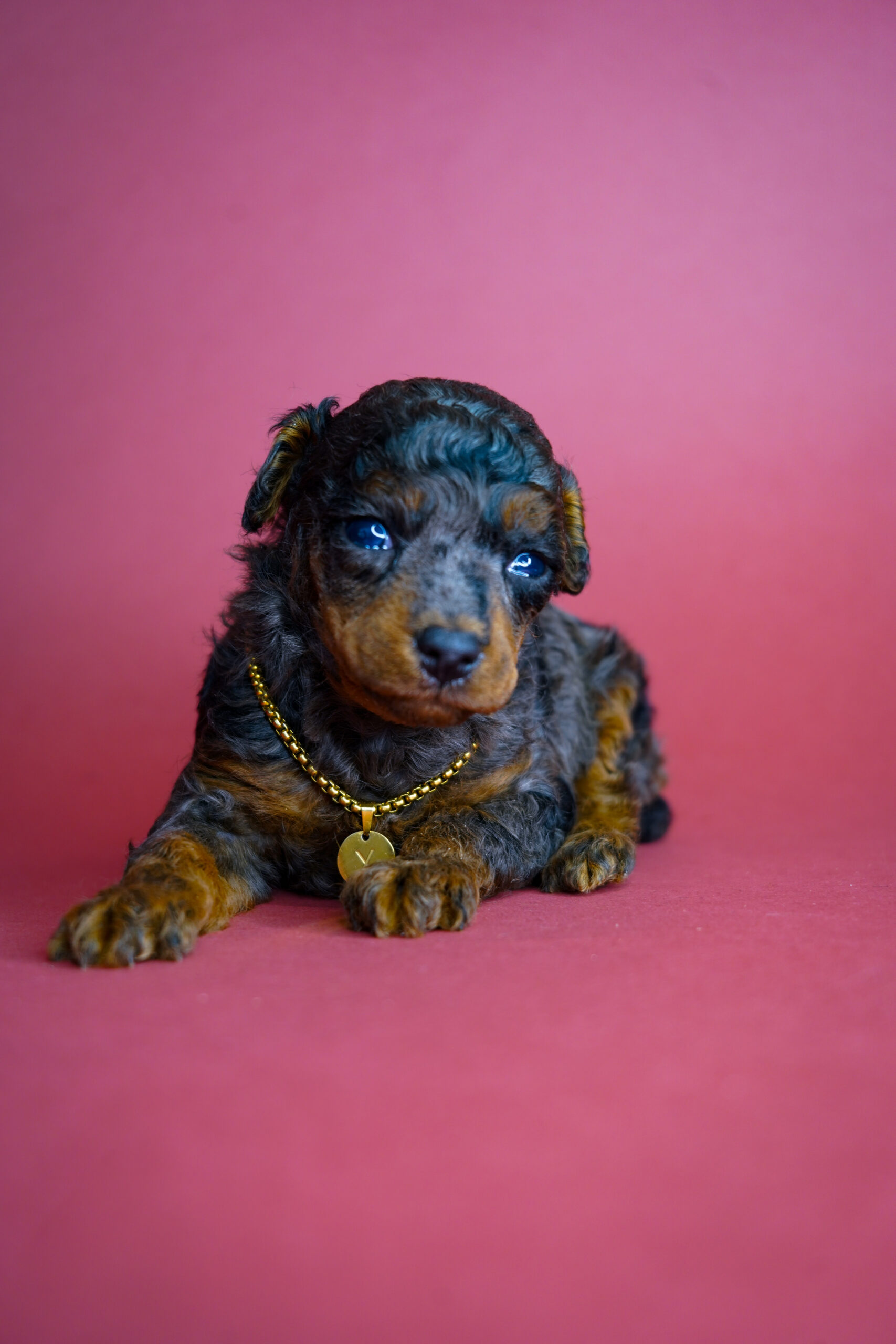 A7A67520-2265-493F-AC3A-D7DBB9F1E4C8