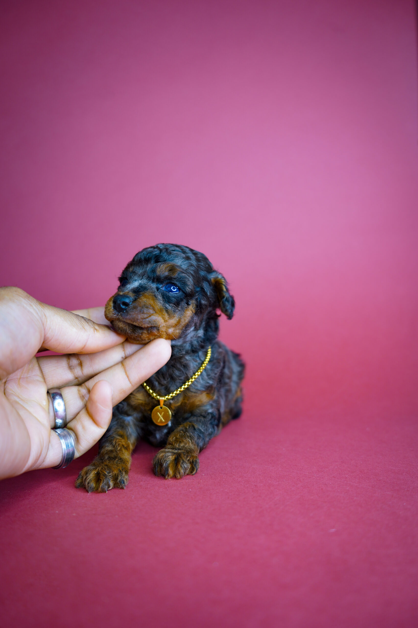 E6628A62-F310-41DD-9733-850209DC44A8