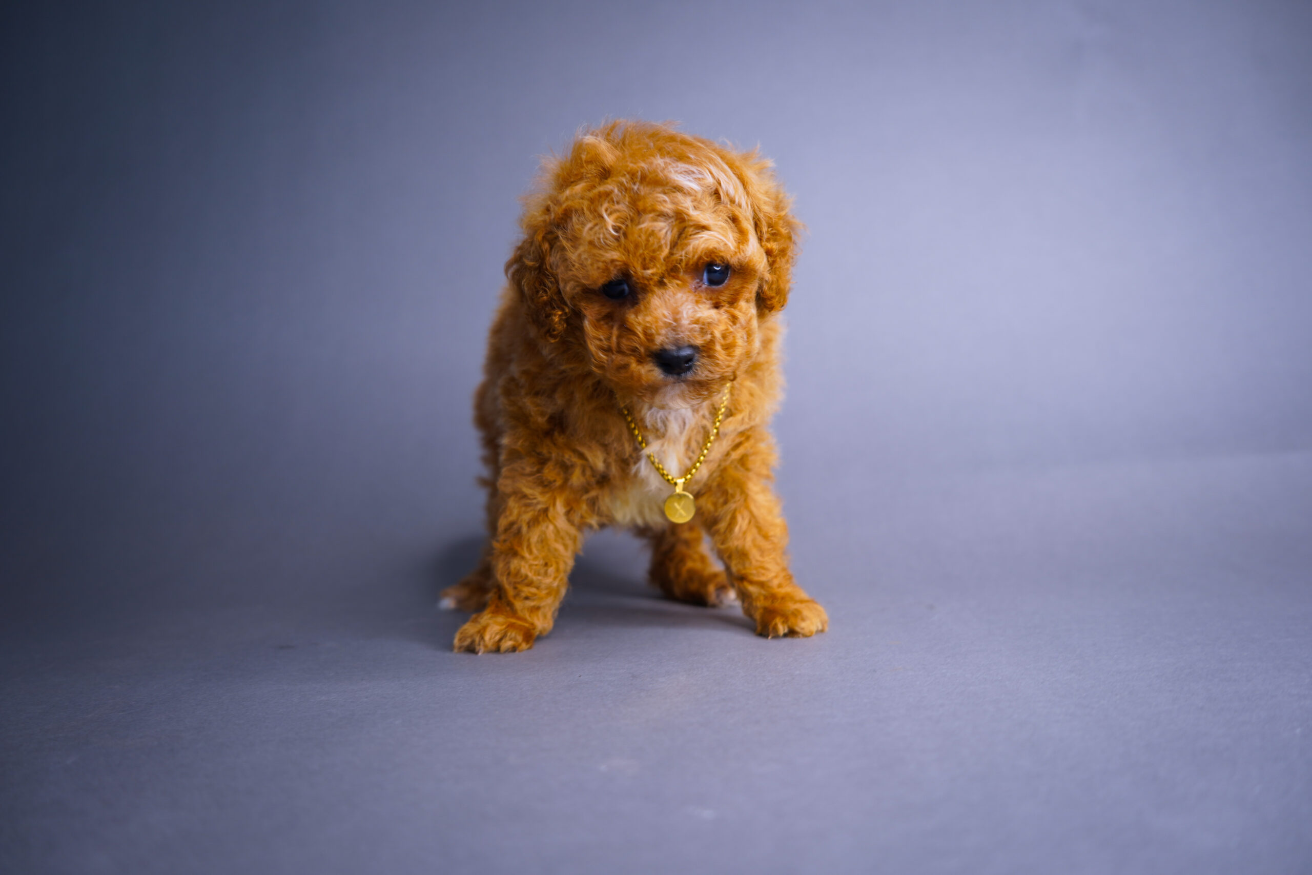 091B380C-1213-4C6A-AC03-CB7905AA7BE6