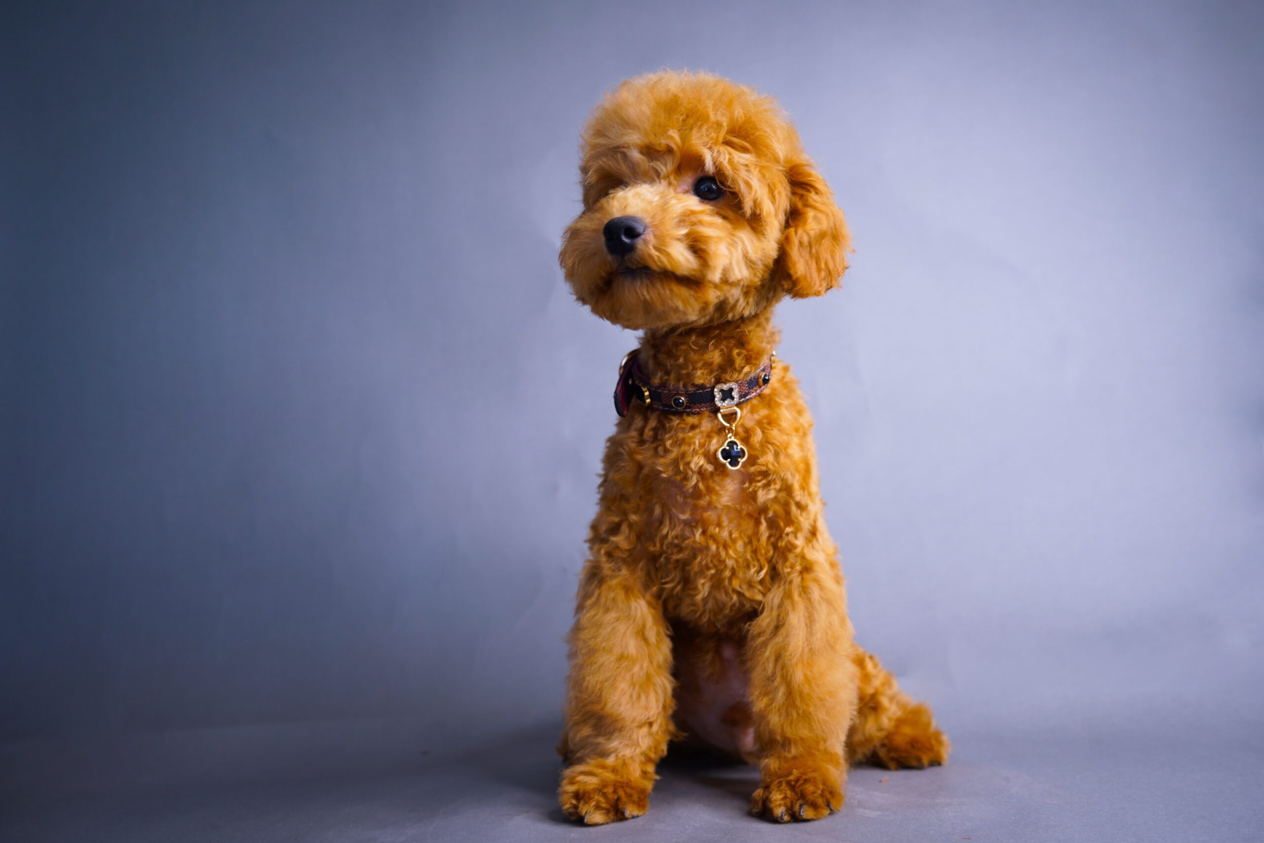 11AF547B-4F0D-4E07-9532-FACDC6ADC173