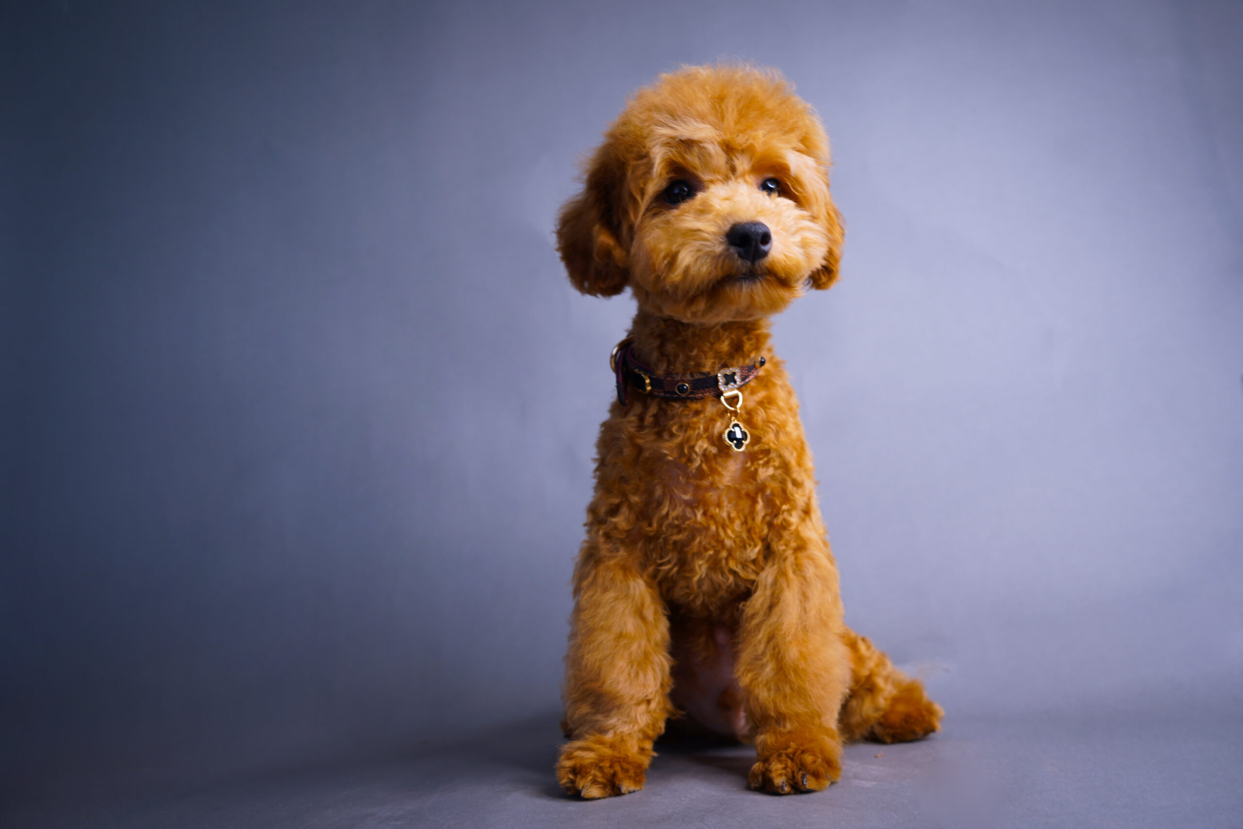 4F299269-DF6E-47E9-86DA-DA26C230D092