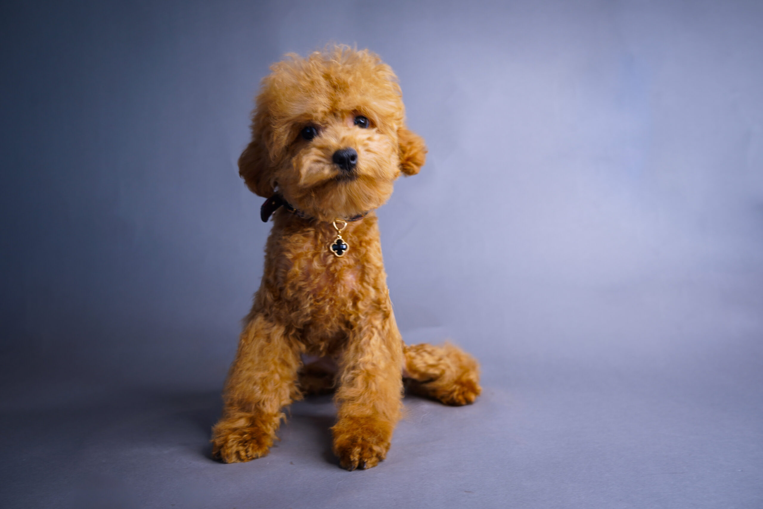 672FA8AE-1B20-4252-84B7-4DBCFB8755BB