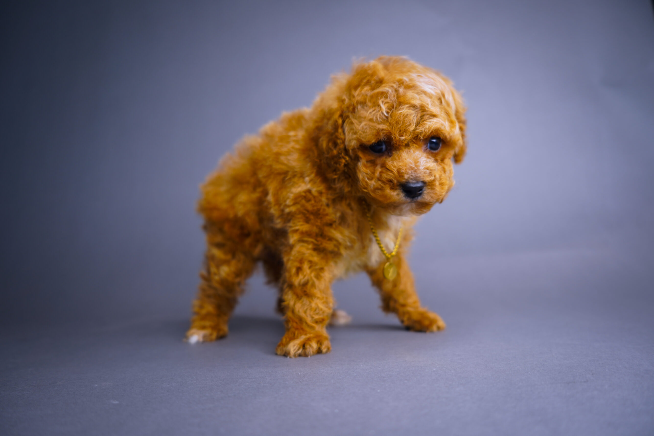 E238C37E-EF42-4B68-9BC1-5FDF4EF0837A