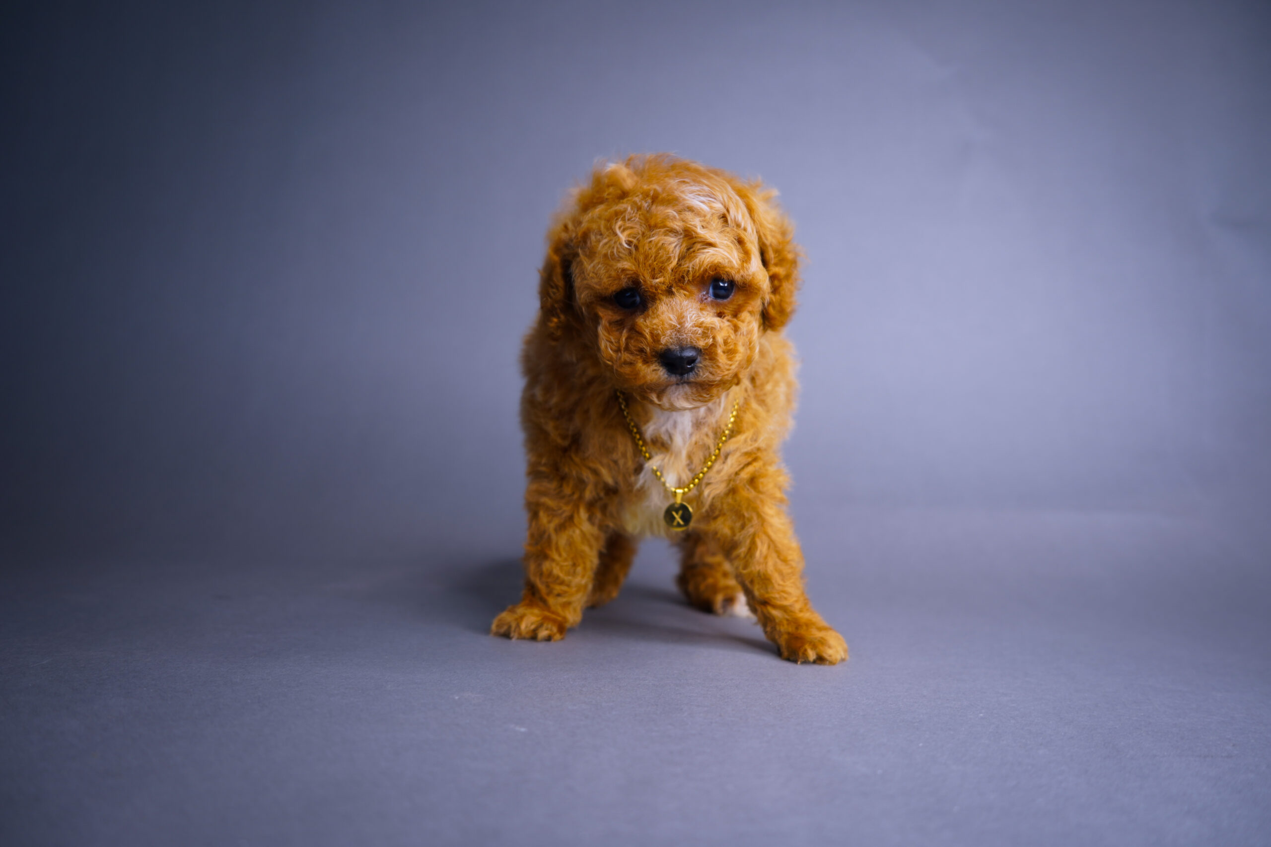 FBDFD6F5-6AC3-4CC1-898C-4B9B2332AE18