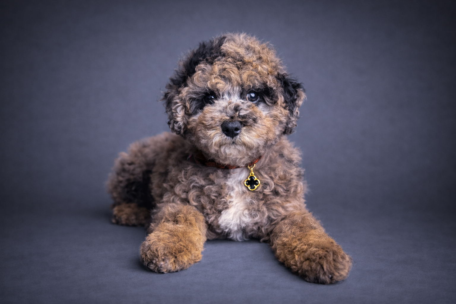 0AD8CE0A-6557-44CB-9B36-09A5FADD7C57