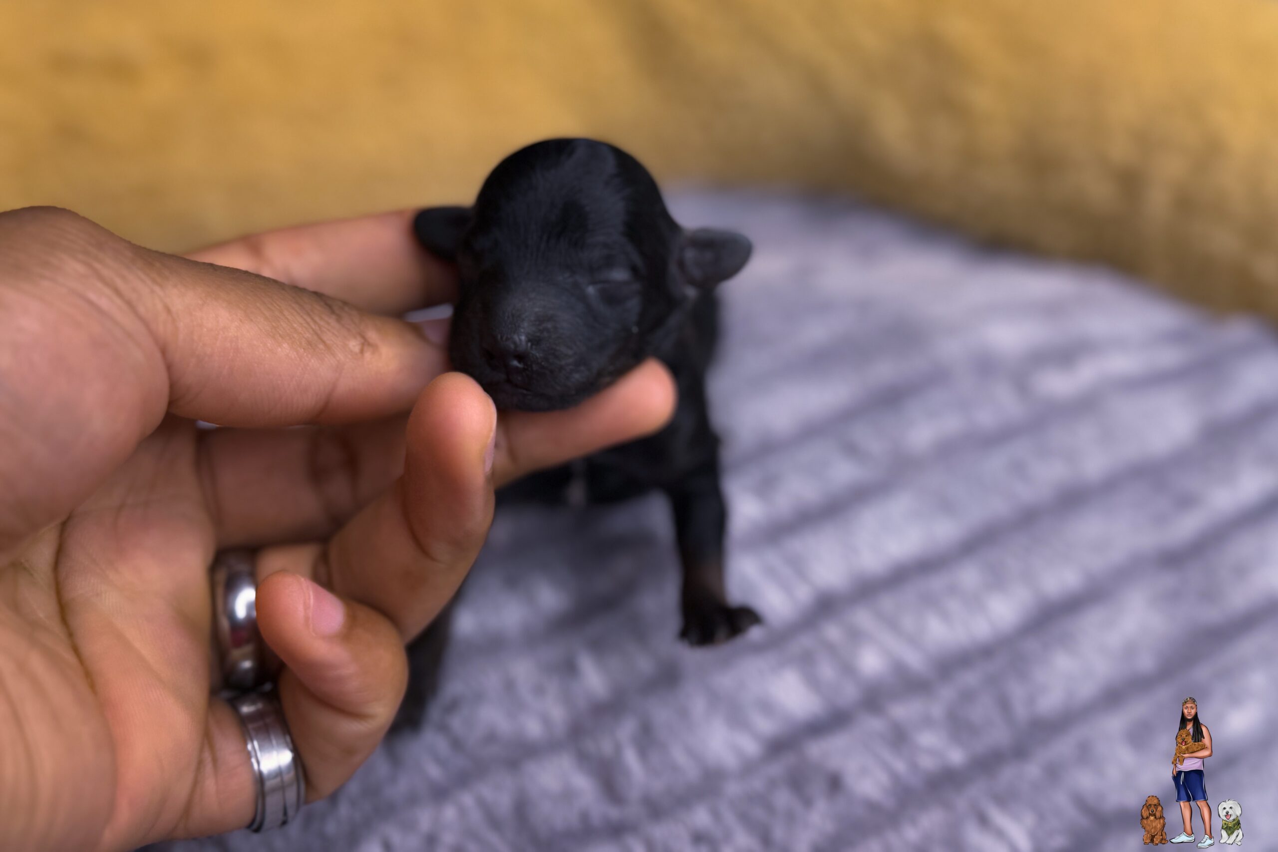 21B01CC2-E81F-4ACF-A277-B1937F14A76D