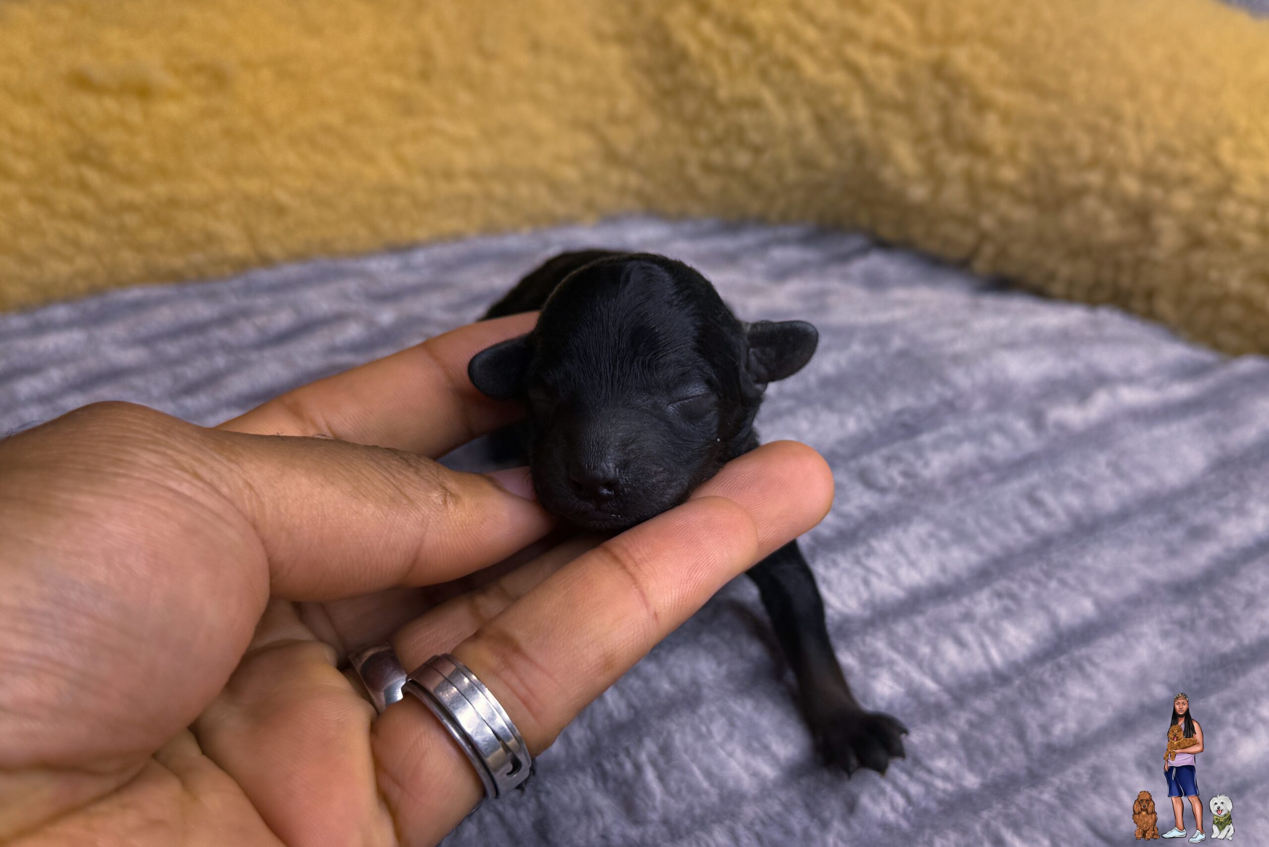 37D843FD-B8F5-427C-BD8F-C67D42ED412D