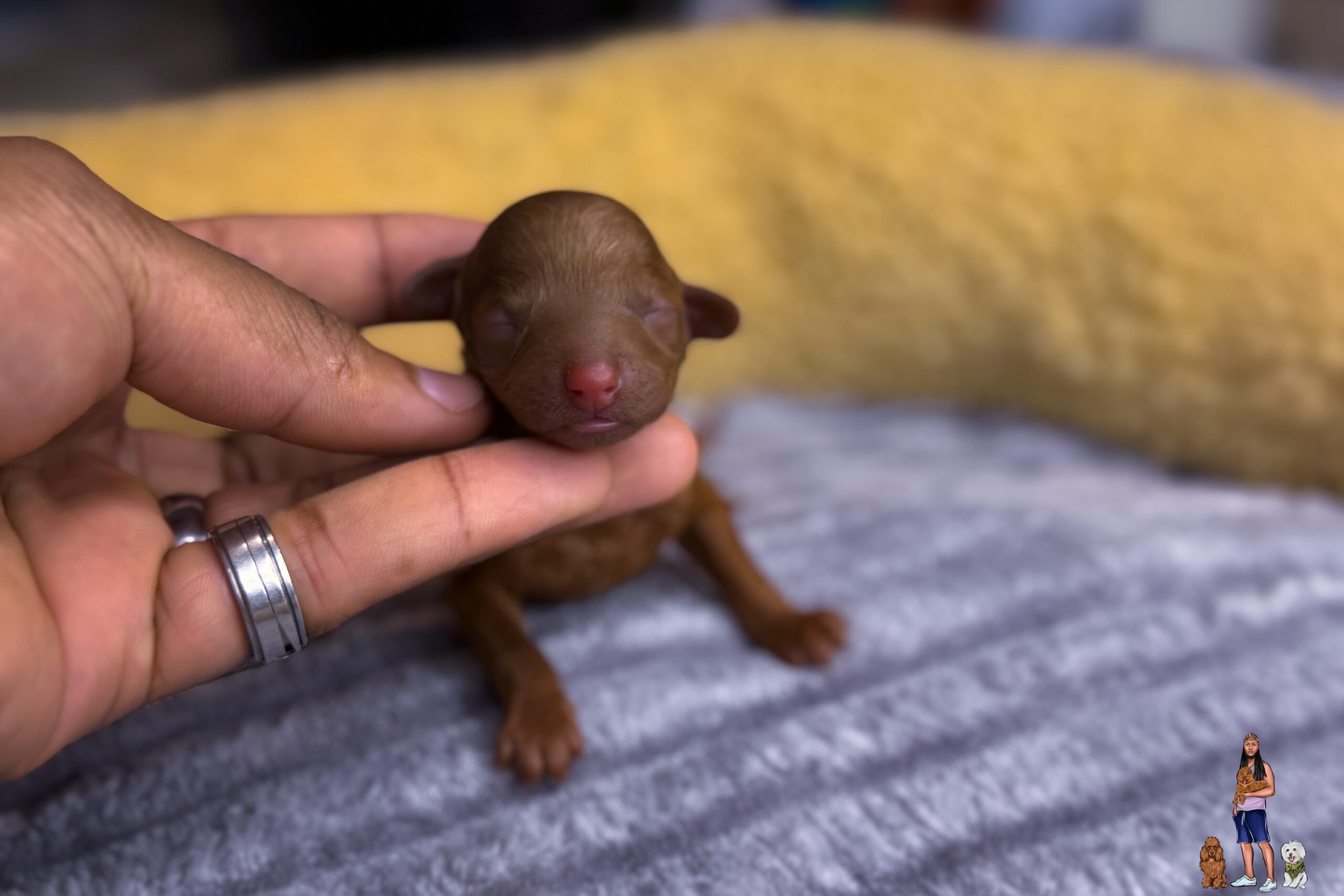 6450D437-5968-4F62-9F01-53B27E2B4615