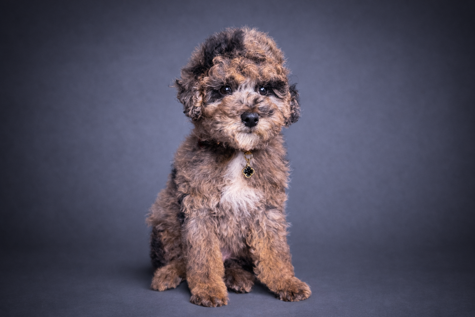 7055AB7D-84D4-4320-9637-580F0400B1E2