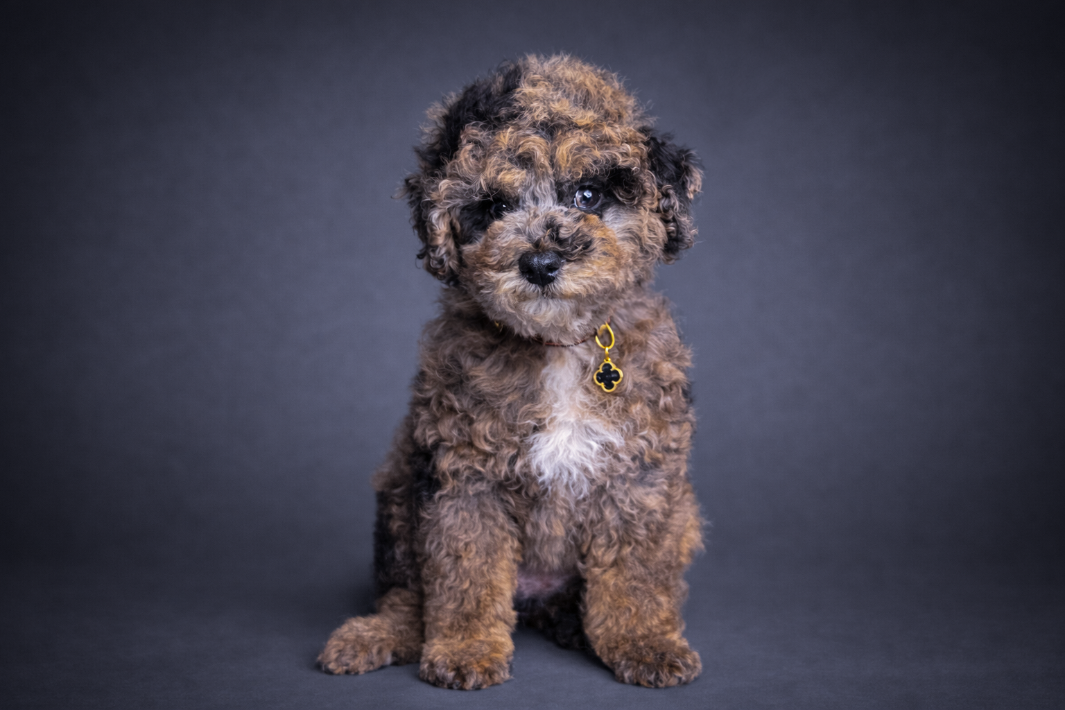 9C5FDF3D-8E37-4BD6-9DB9-727A24443AB6