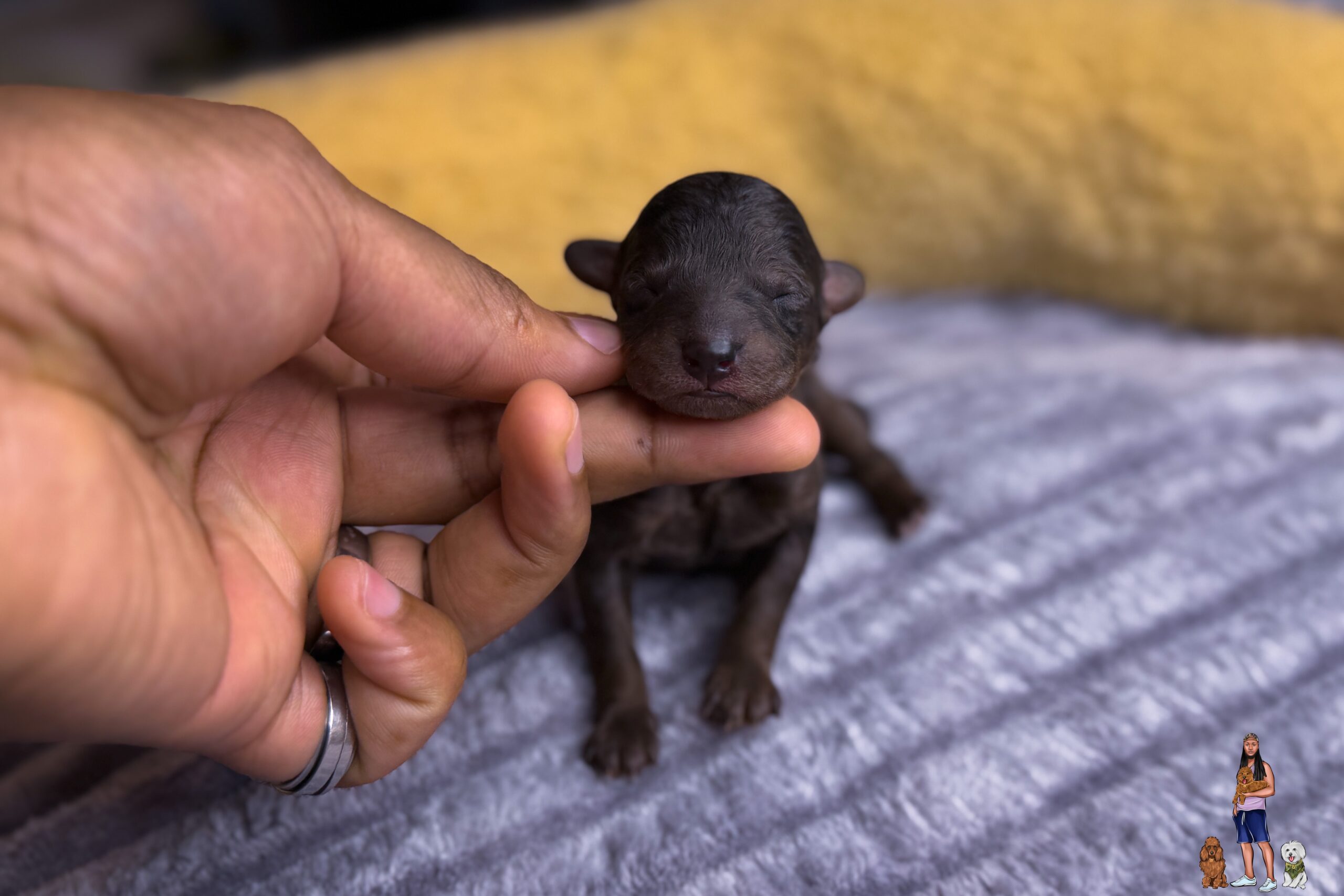 B066BBCA-275F-400B-8F9A-EF7B22473786