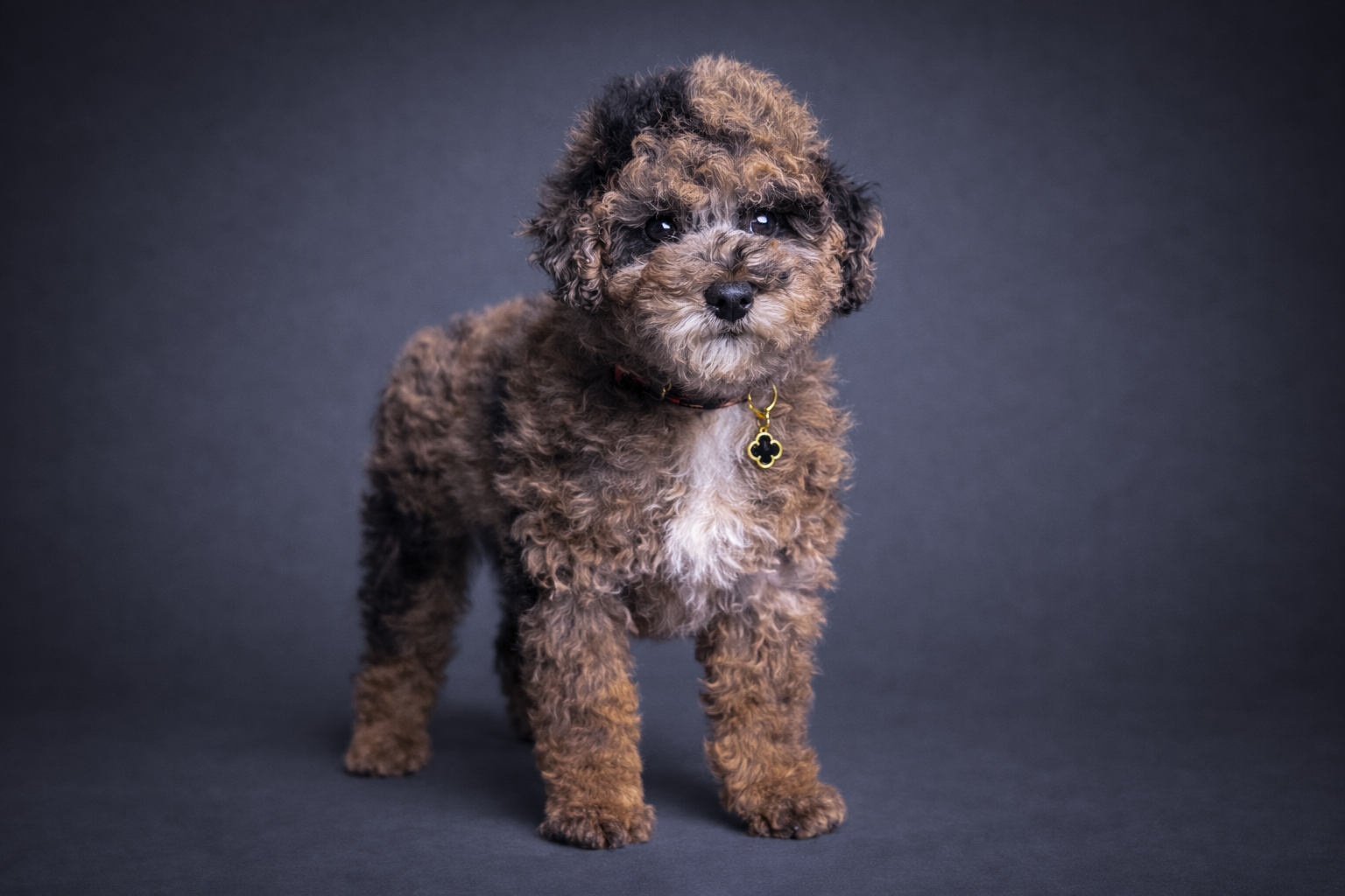 B5EC9525-A8F0-46F9-89CB-EB553B7B4070