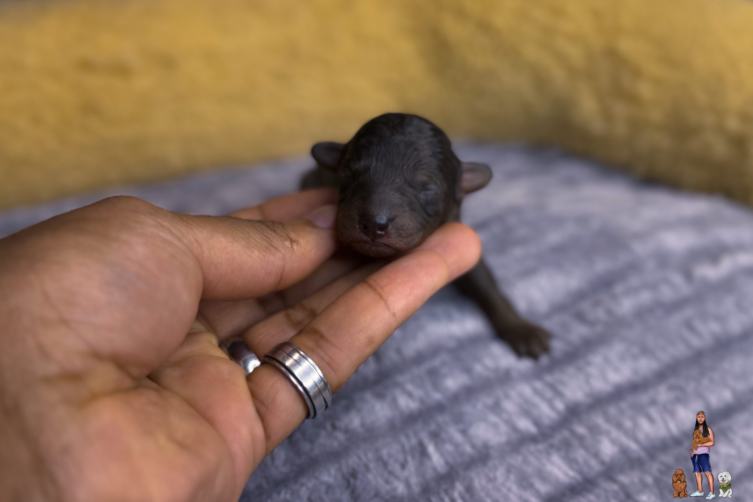 DB38C3CC-8B28-4EA3-ABE2-AF361EF7F984