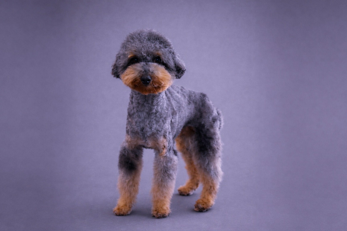 7EF543C7-E343-4679-A770-96C2FE05D8BB