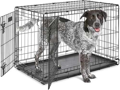 MidWest iCrate Fold & Carry Dog Crate