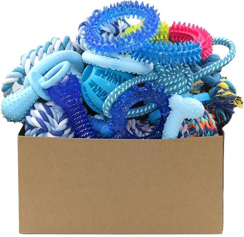 Puppy Teething Chew Toys (20-Pack)